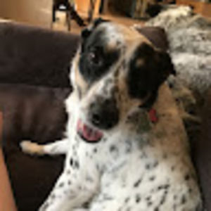 Meet your Posher, Ainsley